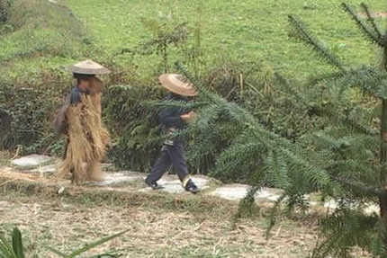 湘西,赶尸,蛊术,洞女