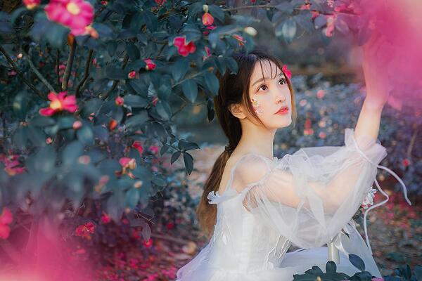 QQ截图20190329165418.jpg