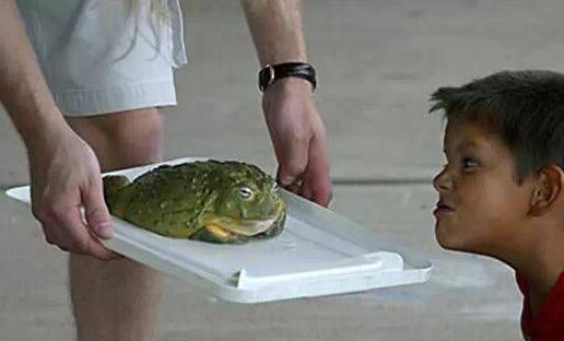 111.jpg