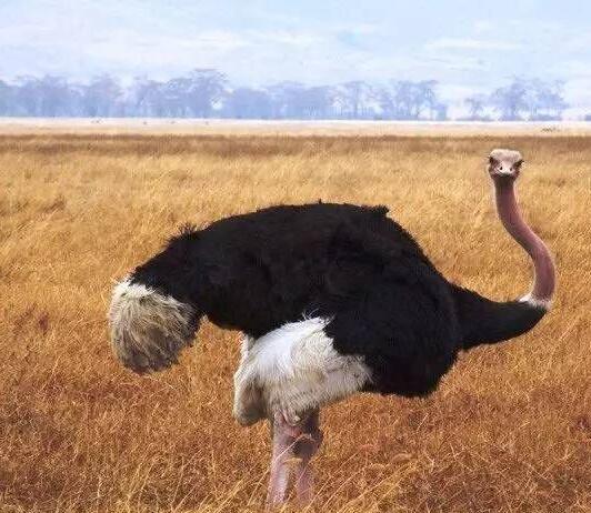 111.jpg