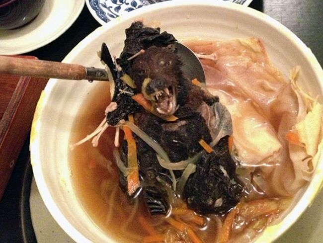 蝙蝠汤