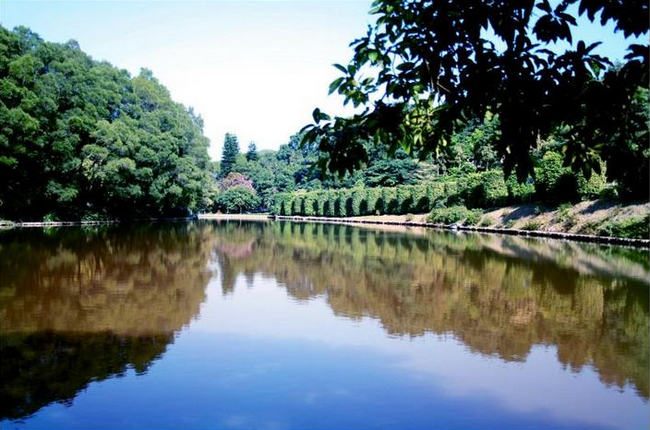 仙湖