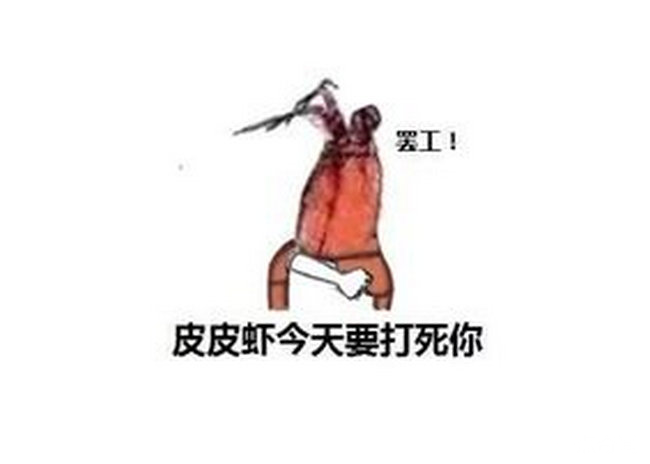皮皮虾我们走是什么梗