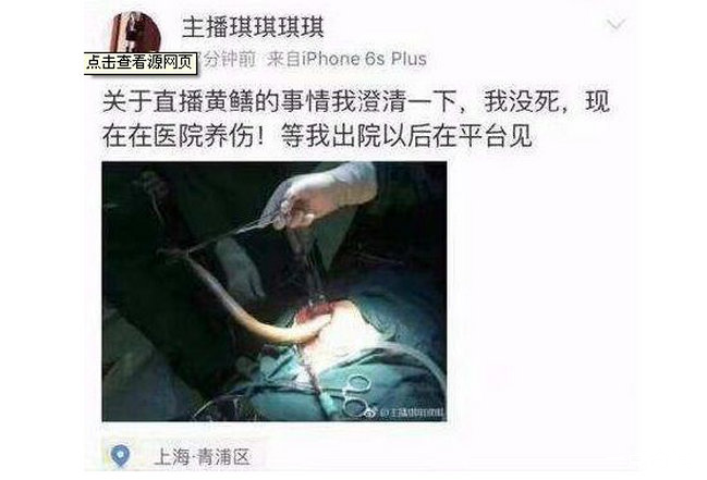 黄鳝是什么梗