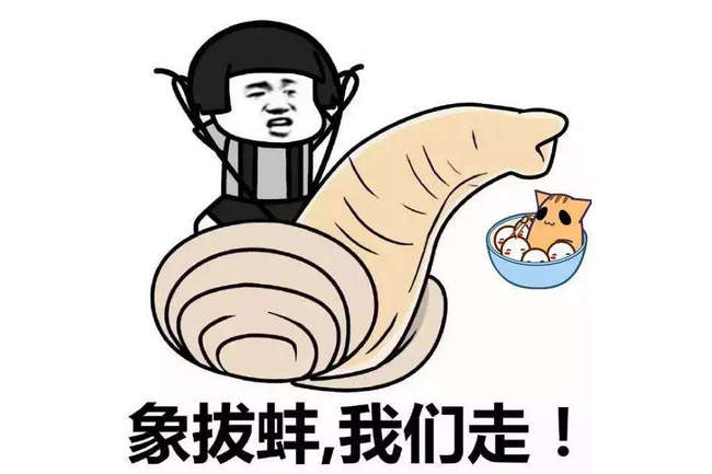 你个象拔蚌什么意思
