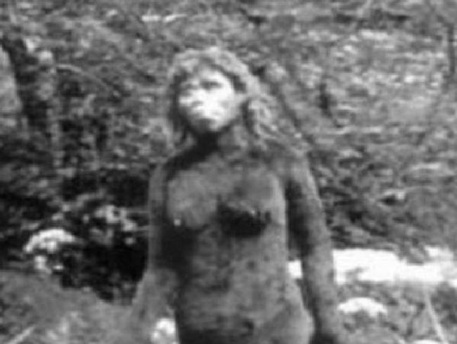 离山野人之谜