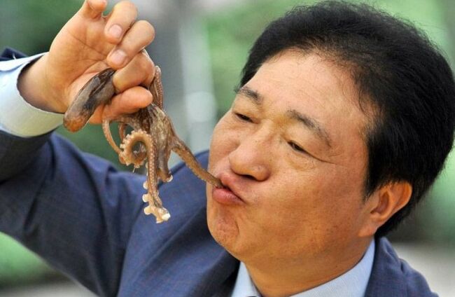 活章鱼