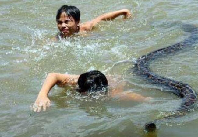 蟒蛇变成蛇保姆