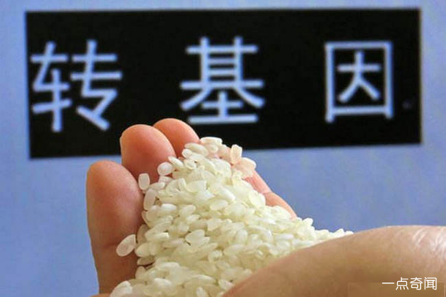转基因究竟是好是坏