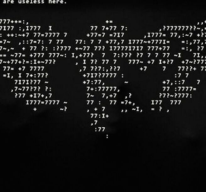 蝉3301
