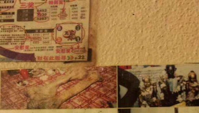 槟城鬼王