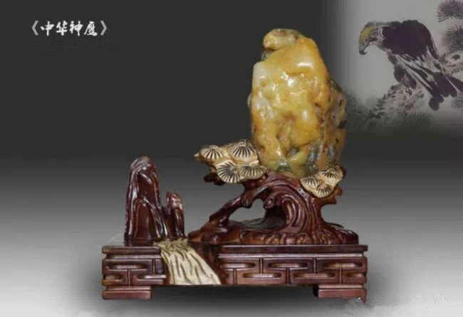 中华神鹰