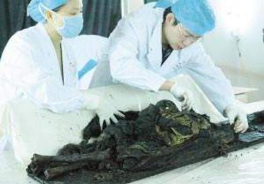 广西七星巨棺墓主人身份，棺底现神秘北斗七星