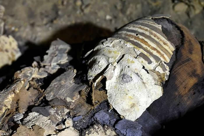 美国探索频道深入埃及古墓现场直播“开棺秀” 呈现2500年前大祭司棺木
