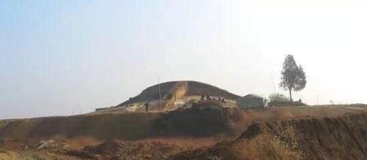 111.jpg