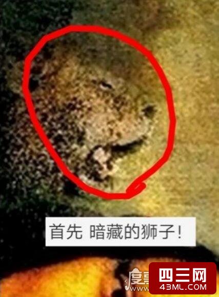 2025404G0_0.jpg