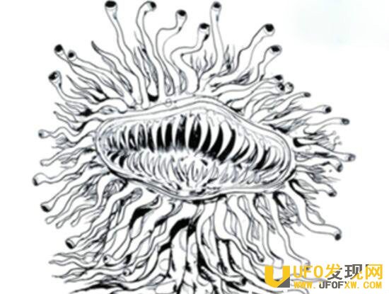 u=933305905,2484077933&fm=175&s=F08021F54AA0CCCE52B164330300D0D3&w=640&h=362&img.jpg