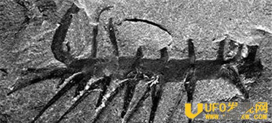 u=1894516198,2908983164&fm=175&s=EDB024D558D279CE0A3DC9110300D0E3&w=640&h=362&img.jpg