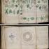 伏尼契手稿(VoynichManuscript)是失落文明的证据,还只是一场精心策划的骗局？这份以奇特字体写成的手稿,是美国书商威尔弗里德-伏尼契(WilfridVoynich)1912年在罗马附近一所耶稣会大学图书馆发现的,年代可追溯至15世纪,里面还有许多植物、天体和出浴美女等奇异的图片,但手稿中的文字即便是世界上顶尖的密码学家和电码译员都未能破译出来。如果说是一场骗局,可信度同样很高,因为手稿中的文字书写流畅,而统计分析还揭示里面图形类似于在自然语言中发现的图形。
