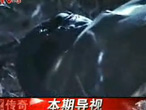 历史机密《传奇》之外星人被俘之谜 A