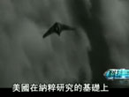 研究领域将人类与UFO接触方式分为四种