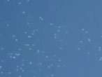 实拍墨西哥惊现大规模UFO舰队漫天飞舞