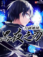刀剑神域：黑夜之刃
