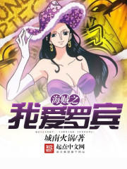 海贼之我爱罗宾